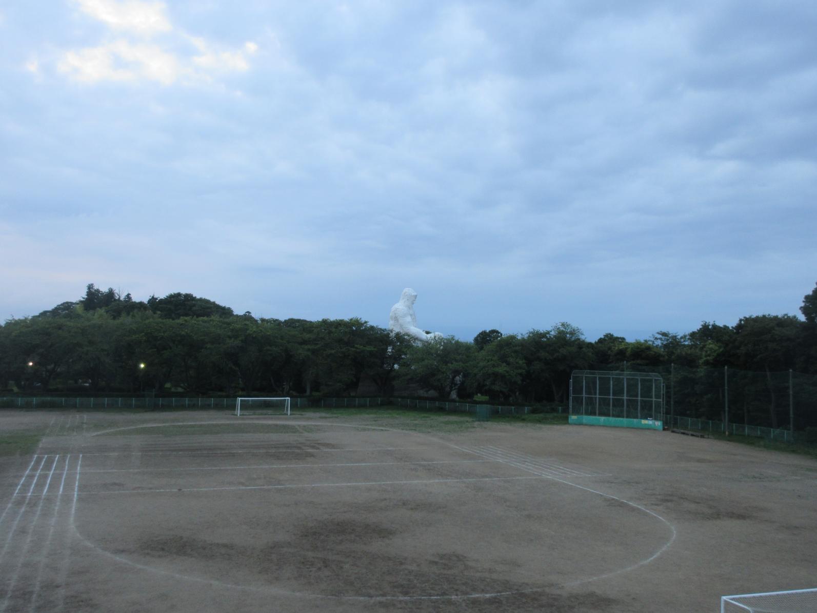 IMG_8172 IMG_8172