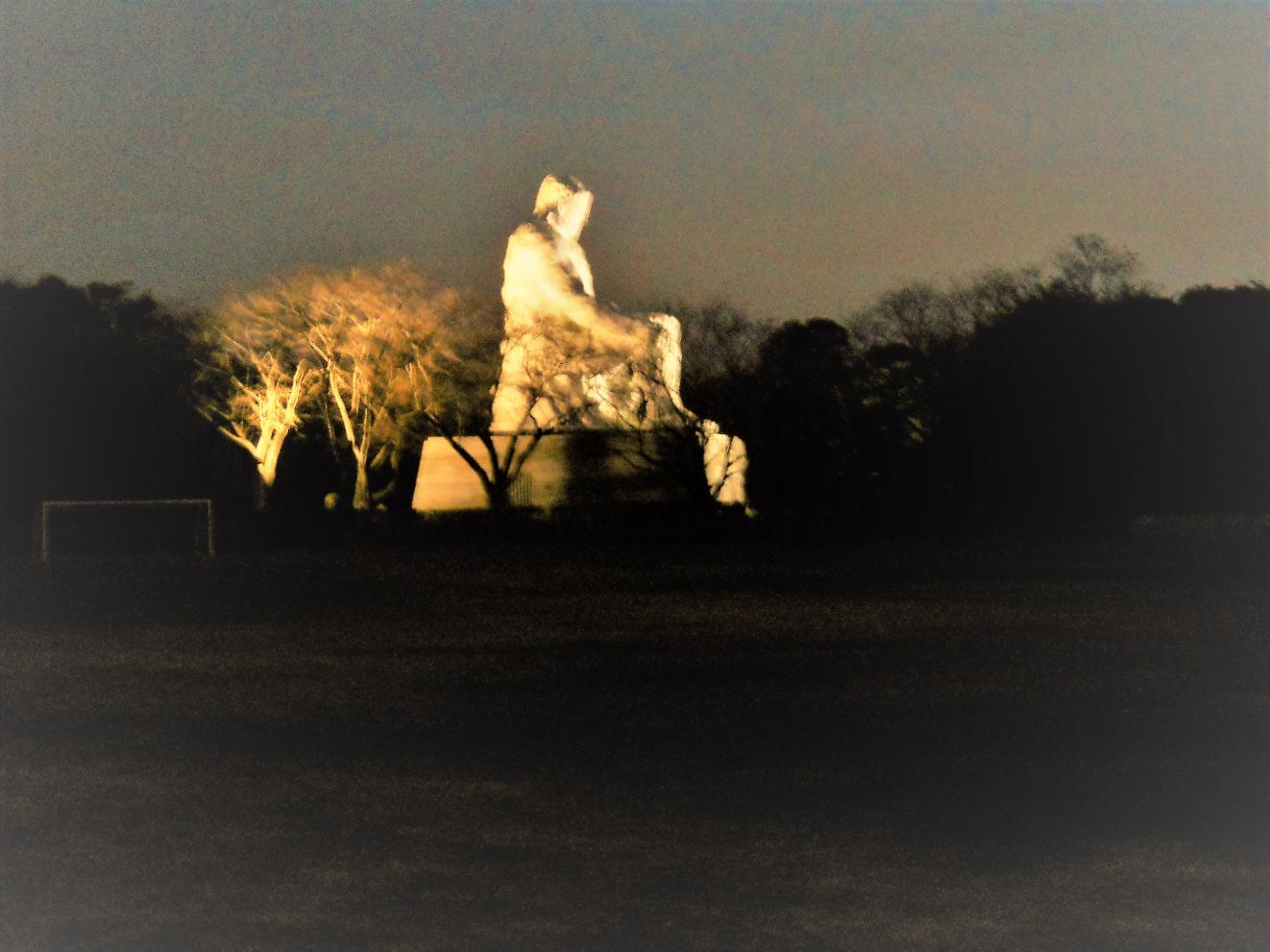 DSCN8386 DSCN8386