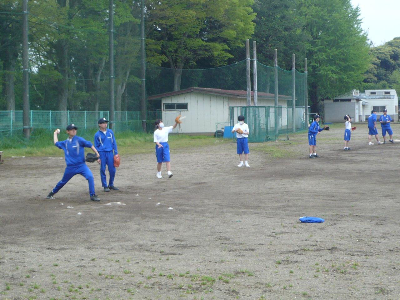 P1010756 P1010756