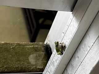 IMG_0069 IMG_0069
