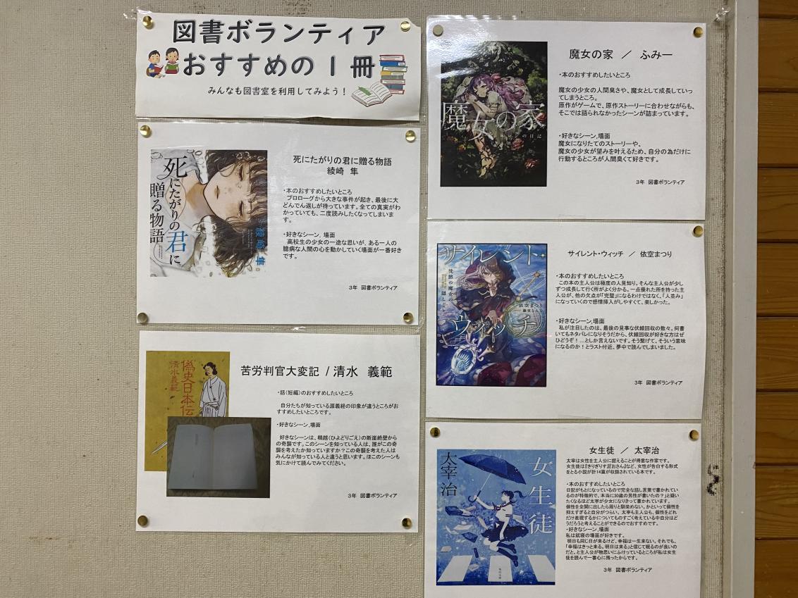IMG-8785