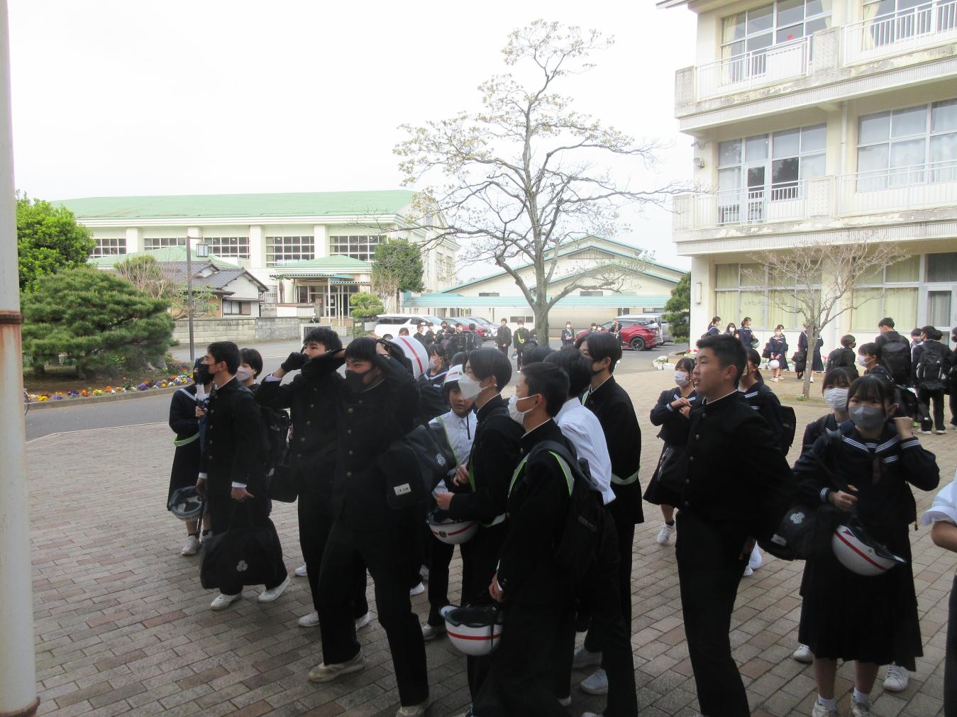 IMG_4908 IMG_4908