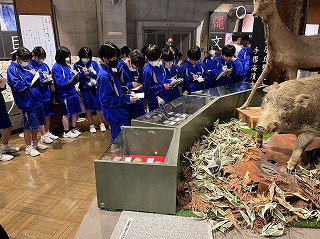 展示物の観察 展示物の観察