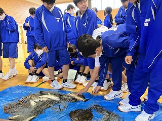s-宿泊(1)03 s-宿泊(1)03