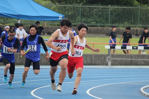IMG_0274 IMG_0274