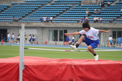 IMG_0241 IMG_0241