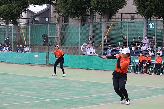 女子テニス 女子テニス
