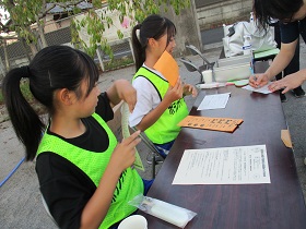 IMG_6549 IMG_6549