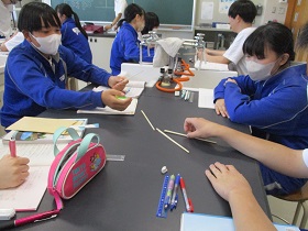 IMG_6594 IMG_6594