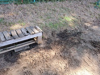 ベンチ ベンチ