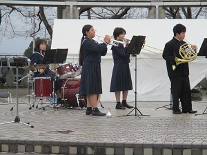 IMG_6967 IMG_6967