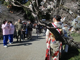 IMG_7323 IMG_7323