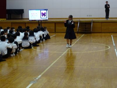 女子制服2 女子制服2