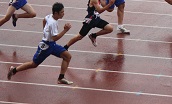 IMG_9748 IMG_9748