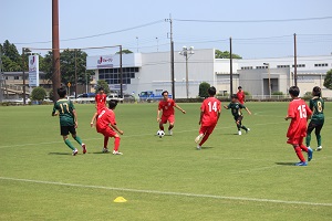 IMG_9966 IMG_9966