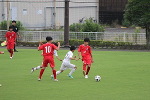IMG_0043 IMG_0043