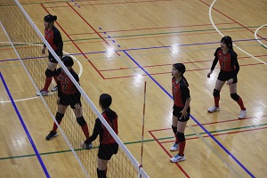 IMG_0087 IMG_0087