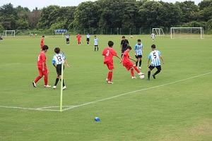 IMG_3920 IMG_3920
