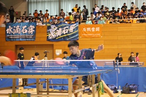 IMG_3950 IMG_3950