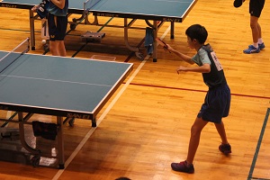 IMG_4224 IMG_4224