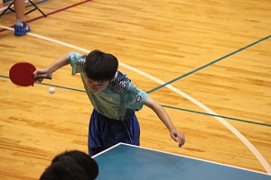 IMG_4233 IMG_4233