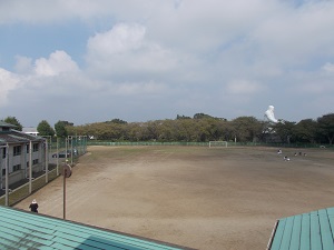 DSCN4308 DSCN4308