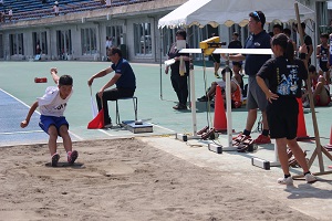 IMG_4375 IMG_4375