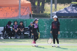 IMG_4550 IMG_4550
