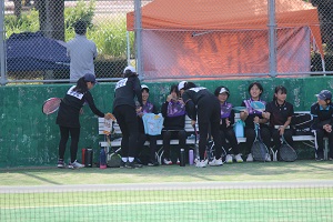IMG_4559 IMG_4559