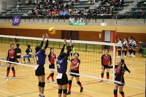 IMG_4607 IMG_4607