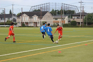 IMG_4667 IMG_4667