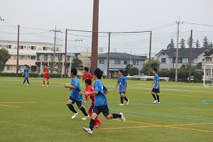 IMG_4695 IMG_4695