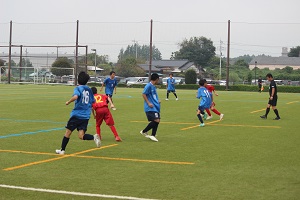 IMG_4706 IMG_4706
