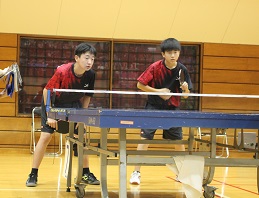 IMG_4809 IMG_4809