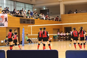 IMG_4849 IMG_4849
