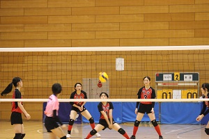 IMG_4861 IMG_4861
