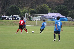 IMG_4888 IMG_4888