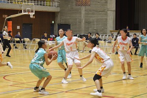 IMG_4915 IMG_4915
