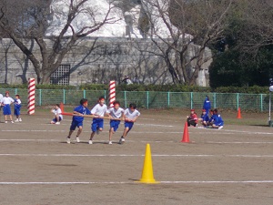 DSCN4486 DSCN4486