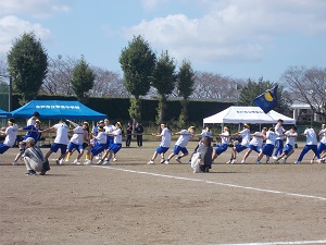 DSCN4514 DSCN4514