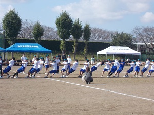 DSCN4517 DSCN4517