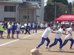 DSCN4523 DSCN4523