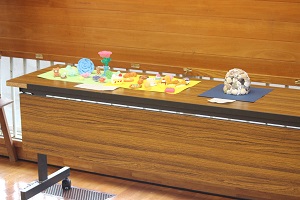 IMG_5729 IMG_5729