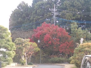 DSCN4795 DSCN4795