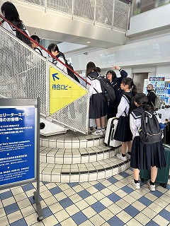 IMG_3359 IMG_3359
