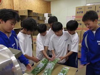 IMG_4347 IMG_4347