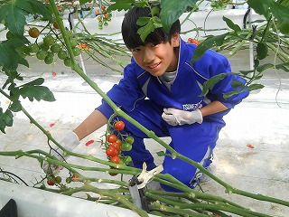 DSCN8269 DSCN8269