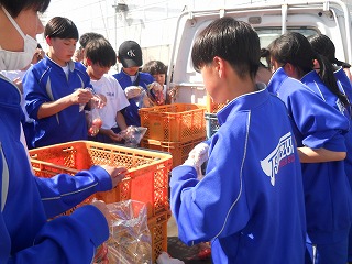 DSCN8289 DSCN8289