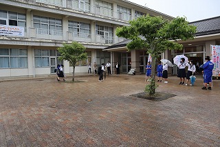 IMG_0398 IMG_0398