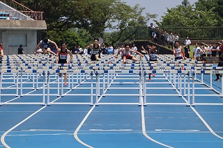 IMG_0501 IMG_0501